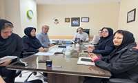  کمیته ارتقای راهبردی اورژانس